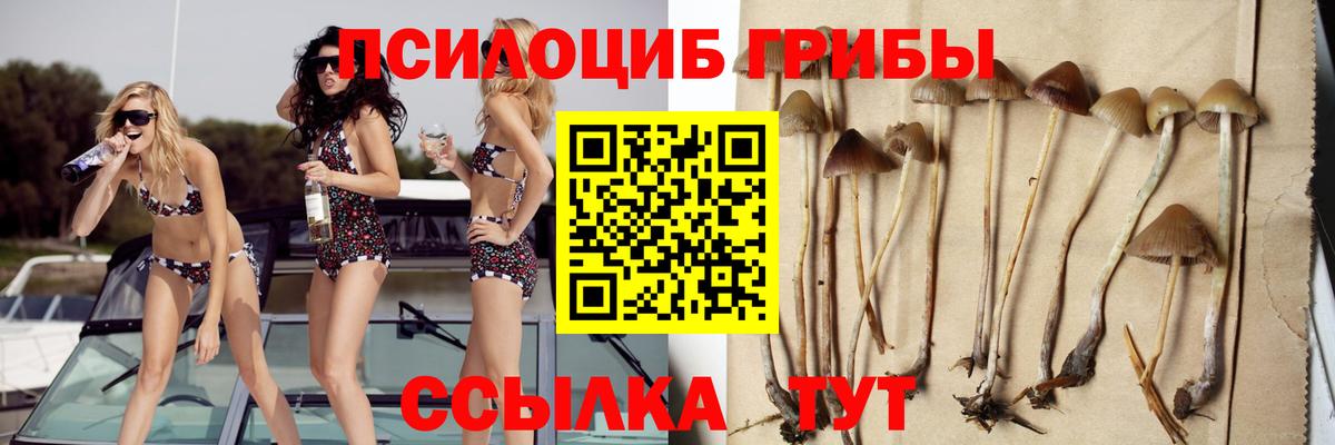 Псилоцибиновые грибы мицелий Шелехов